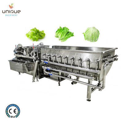 Линия обработки стилей 2021 Style Vegetable Fruit Helix для коммерческих применений