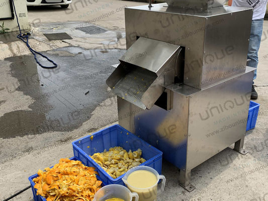 Промышленный экстрактор соков из нержавеющей стали 304 для переработки свежих цитрусовых, лимонных и апельсиновых