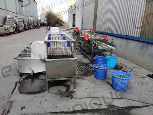 Проектирование Машины для стирки овощных пузырей для магазинов продуктов питания и напитков