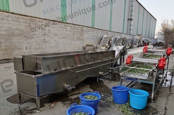 Проектирование Машины для стирки овощных пузырей для магазинов продуктов питания и напитков