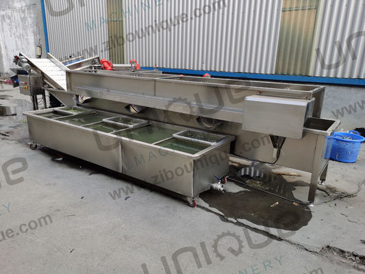 Проектирование Машины для стирки овощных пузырей для магазинов продуктов питания и напитков