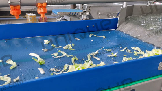 Промышленная машина для мытья фруктов и овощей из нержавеющей стали