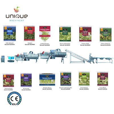 Процесс переработки салата сделал легкой Машину для стирки овощей для детей Шпинат Салаты Капуста