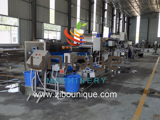 Коммерческое использование Линия для мытья зеленого чая для переработки чайных листьев в Мьянме из Зибуник