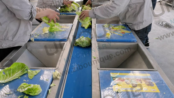 Линия обработки стилей 2021 Style Vegetable Fruit Helix для коммерческих применений
