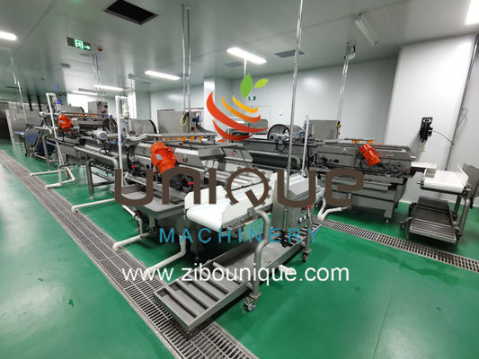 Линия для мытья овощных салат с эффективностью обработки 5000 кг