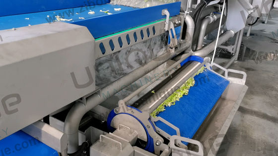 Промышленная машина для мытья фруктов и овощей из нержавеющей стали