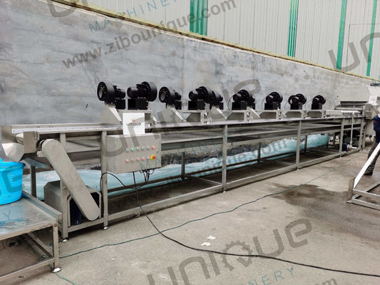 220V/380V Автоматическая Даточная пальмовая сортировка Машина для мытья и сушки