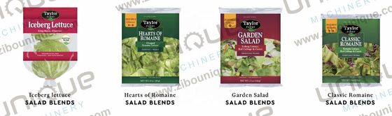 2000 кг/ч Моечная машина для тщательной чистки овощей и фруктов