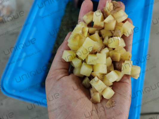 Год Картофельная дробилка Промышленная овощная дробилка с индивидуальным напряжением