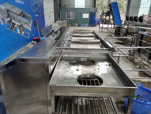 Прямая продажа машин для мытья фруктов и овощей с индивидуальным напряжением