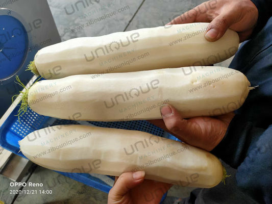 Мощная стальная 304 Mooli Peeler Machine для потребности в переработке Kimchi Daikon