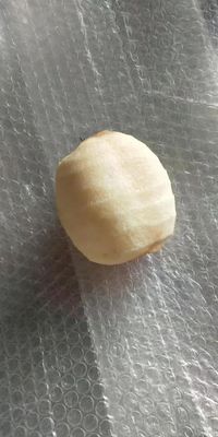 Полностью автоматическая машина для очистки коры и очистки кожи яблок и груш для 2022 года