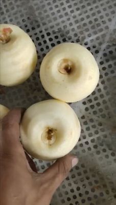 Функция очистки фруктов Коммерческая электрическая яблочная очистительная машина для очистки фруктов Коррельщик 2500*1000*1500 мм