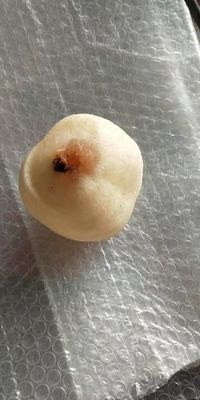 Полностью автоматическая машина для очистки коры и очистки кожи яблок и груш для 2022 года