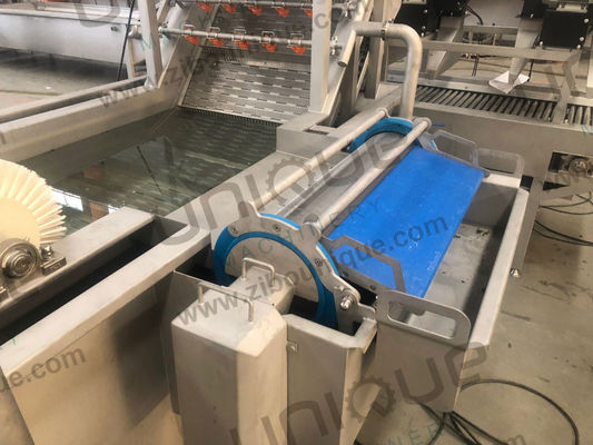 304 нержавеющая сталь воздушные пузырьки салат помидор клубника листья овощи фрукты очиститель