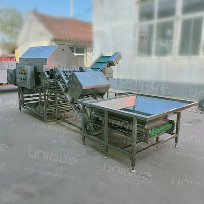 3000 кг/ч Пелировщик лука для корнеплодов и нержавеющей стали 304 в промышленности