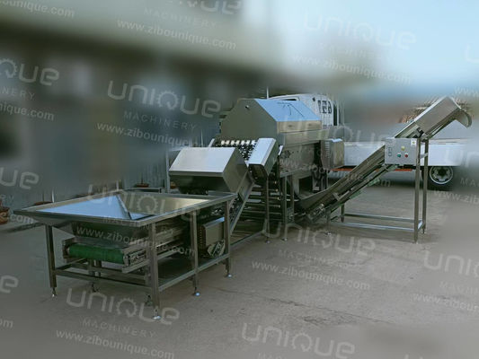 Промышленный 304 стальной луковой очиститель с мощностью 3 кВт и напряжением 380 В