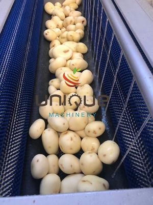 1.75 кВ Простая работа Имбирь Морковь Картофель Щетка Роликовая стиральная машина Корневая овощная стиральная машина