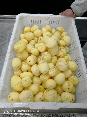 Машина для очистки овощей для корневых овощей ресторанов на линии очистки