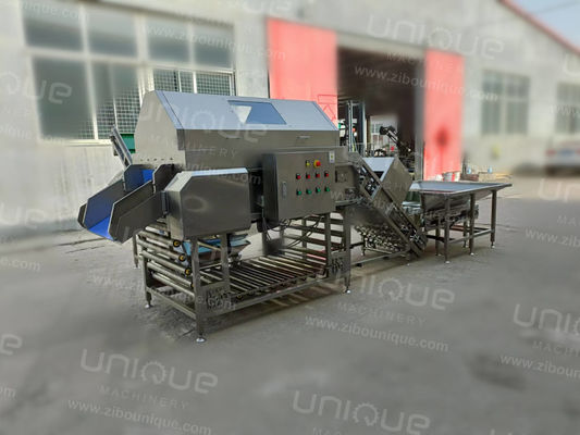 2000 кг/ч Высокое давление воздушный луковой очиститель для крупномасштабного производства