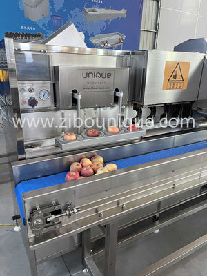 Специализированная машина для очистки яблок и груш из нержавеющей стали Voltage 304